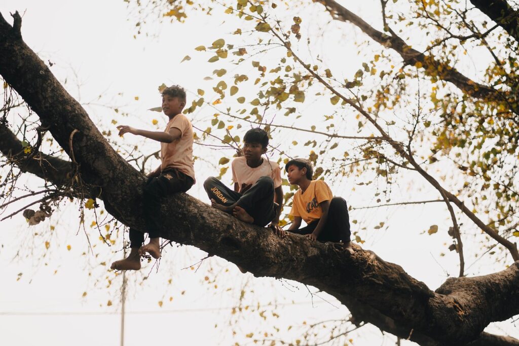 children, nepal, tree, treehouse, nature, kids, child, kathmandu, bhaktapur, street, people, asia, young